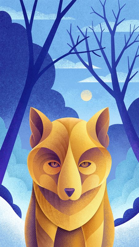 Animal Portraits