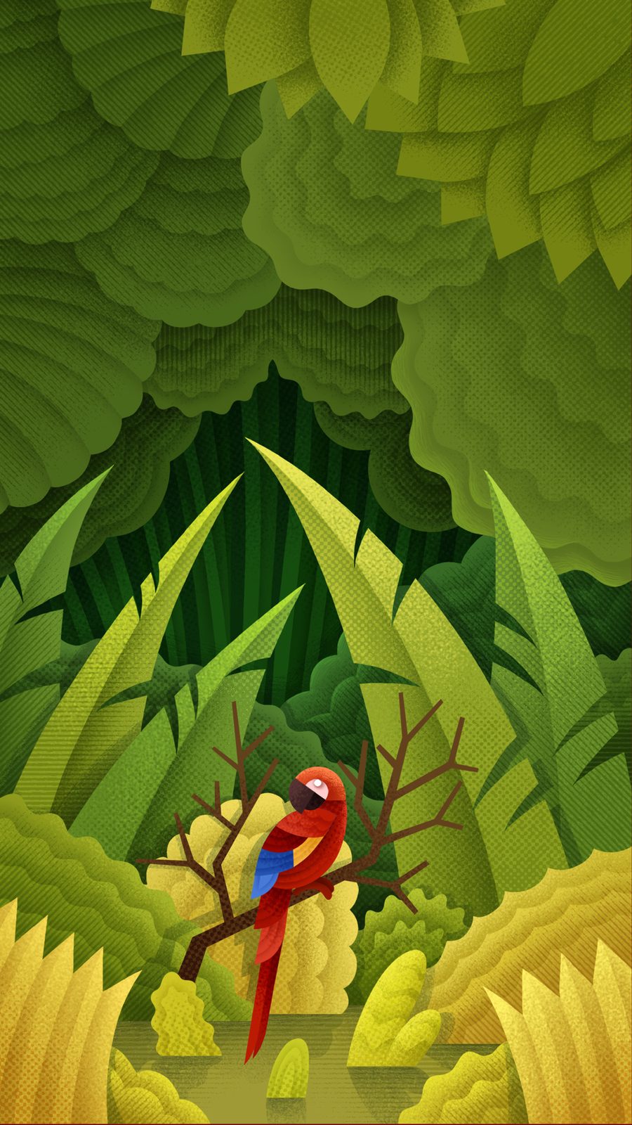 Animal Portraits, picture 3