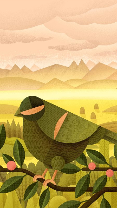 Animal Wallpapers